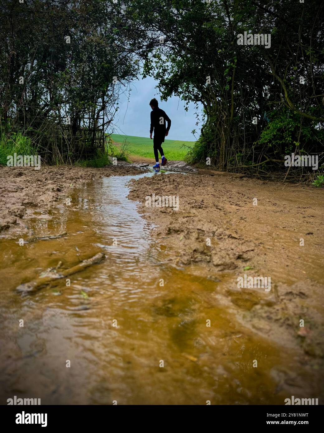 Silhouette of boy in gap between bushes in muddy field - Smartphone Captured Stock Image