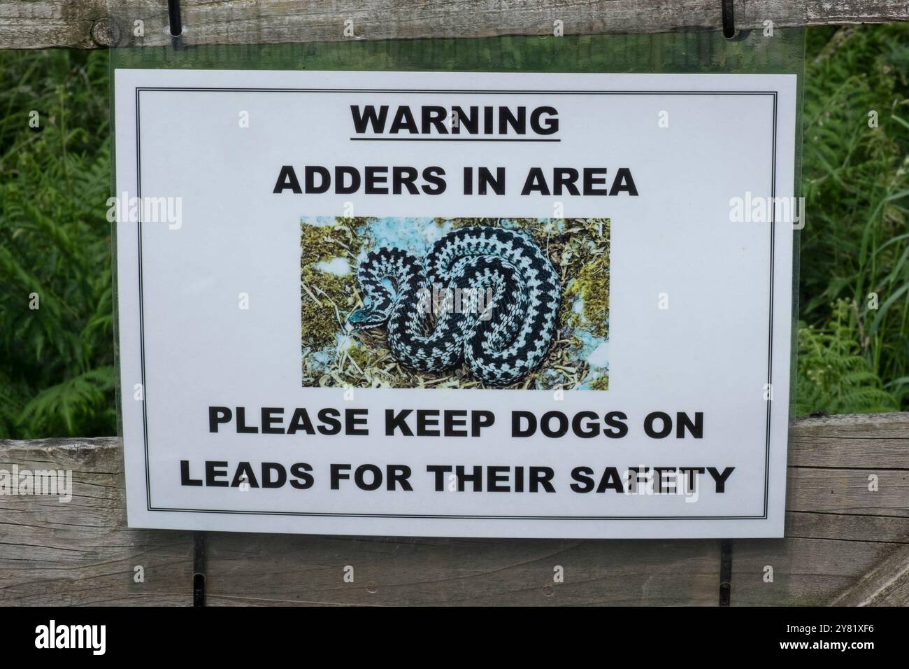 Warning sign Adders in Area on a footpath gate Northumberland Stock ...