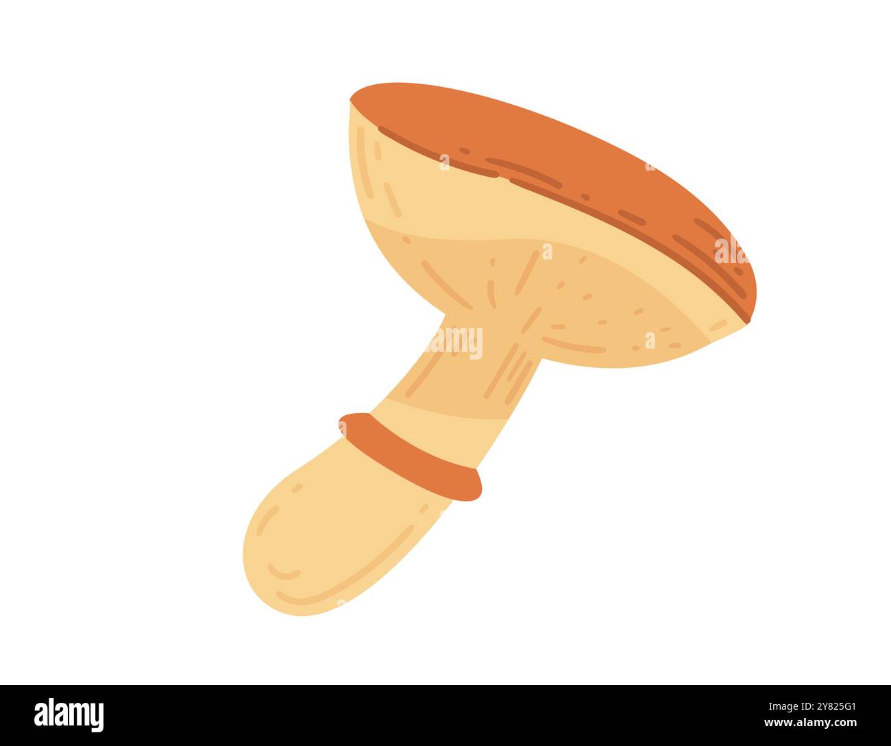 Saffron milk cap. Edible forest mushroom flat icon. Perfect for ...