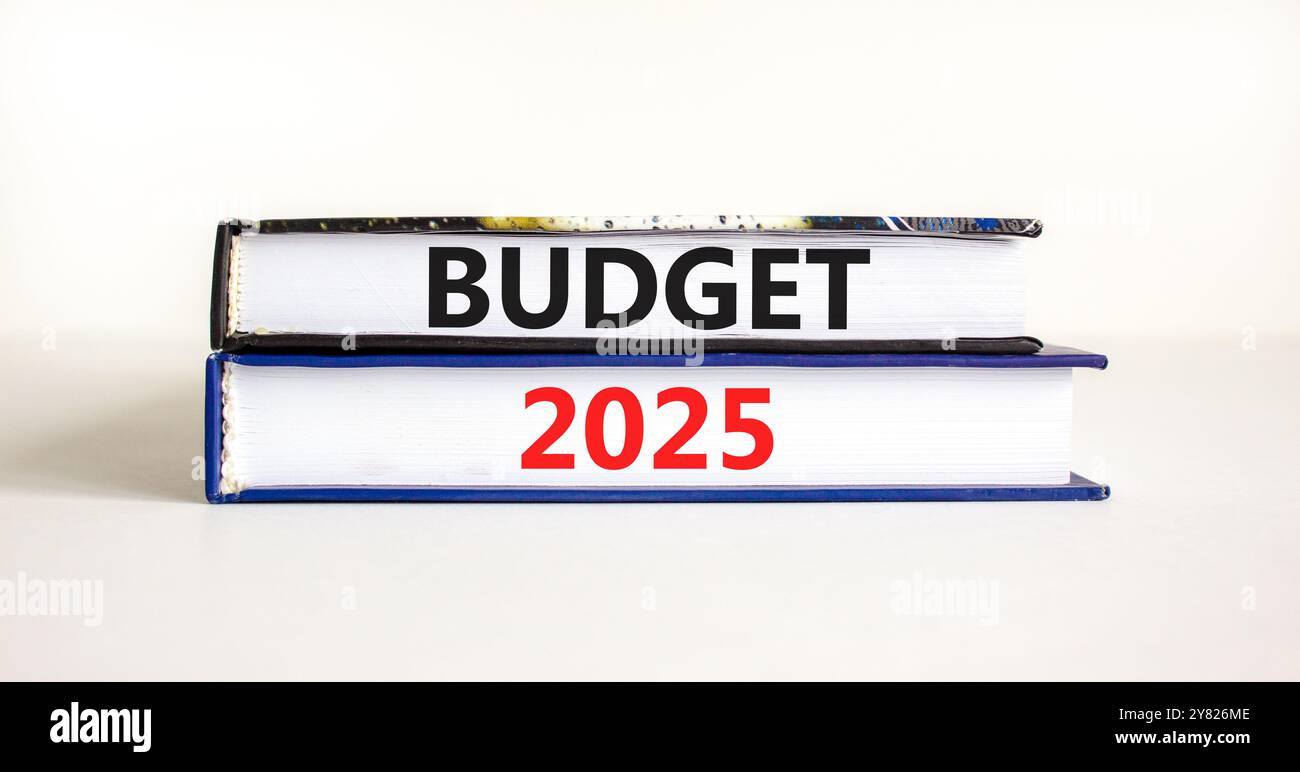 Planning budget 2025 new year symbol. Concept words Budget 2025 on