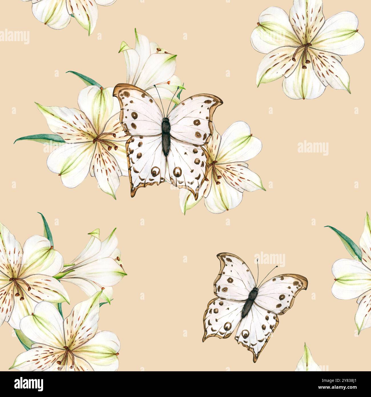 Watercolor seamless pattern with white flowers and Butterflys. Vintage ...