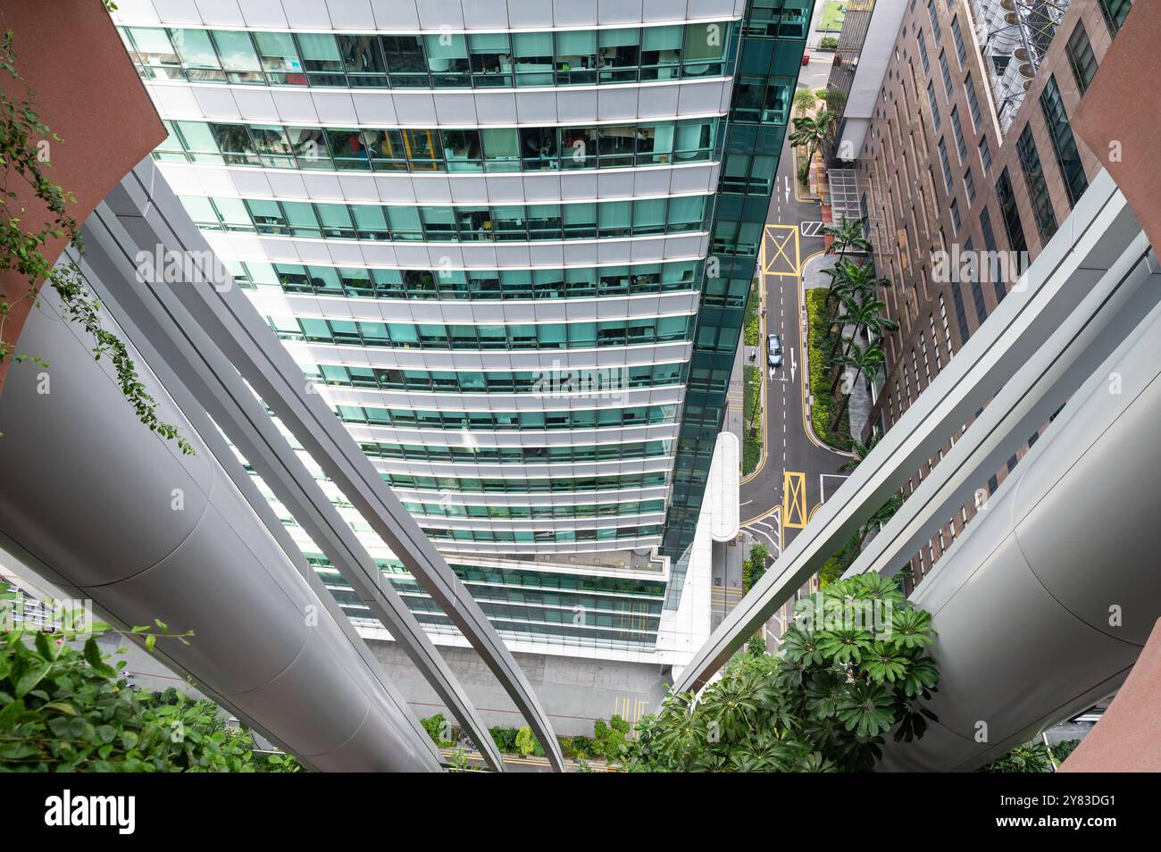 View of 01.08.2023, Singapore, Republic of Singapore, Asia - View from Green Oasis observation deck ...