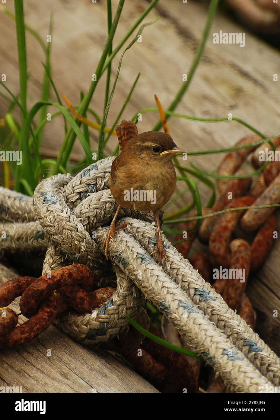 Eye level to resident hi-res stock photography and images - Alamy