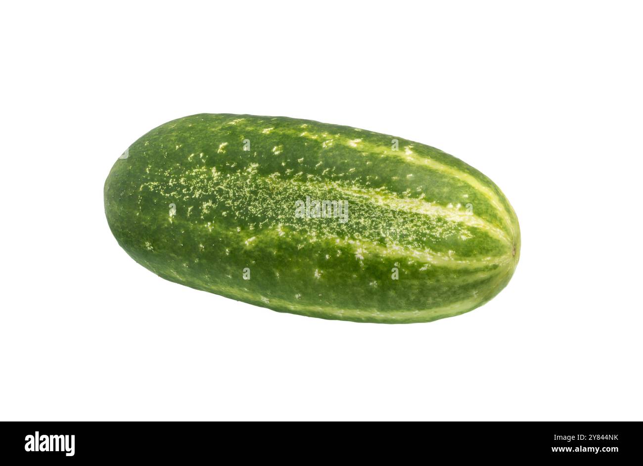 Cucumber isolated on white background. Cucumber clipping path Stock Photo