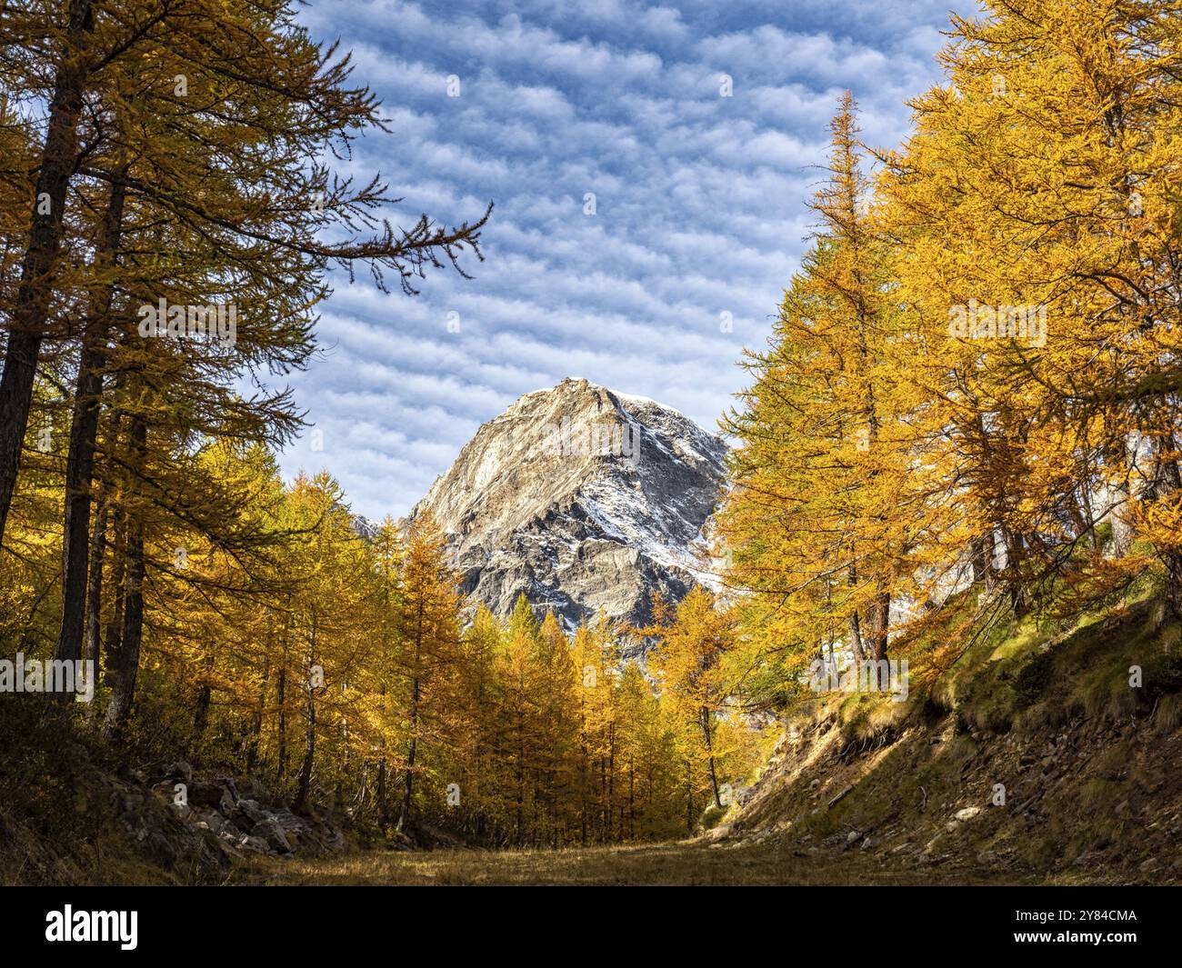 Autumnal landscape in the Italian alps of Macugnaga Stock Photo - Alamy