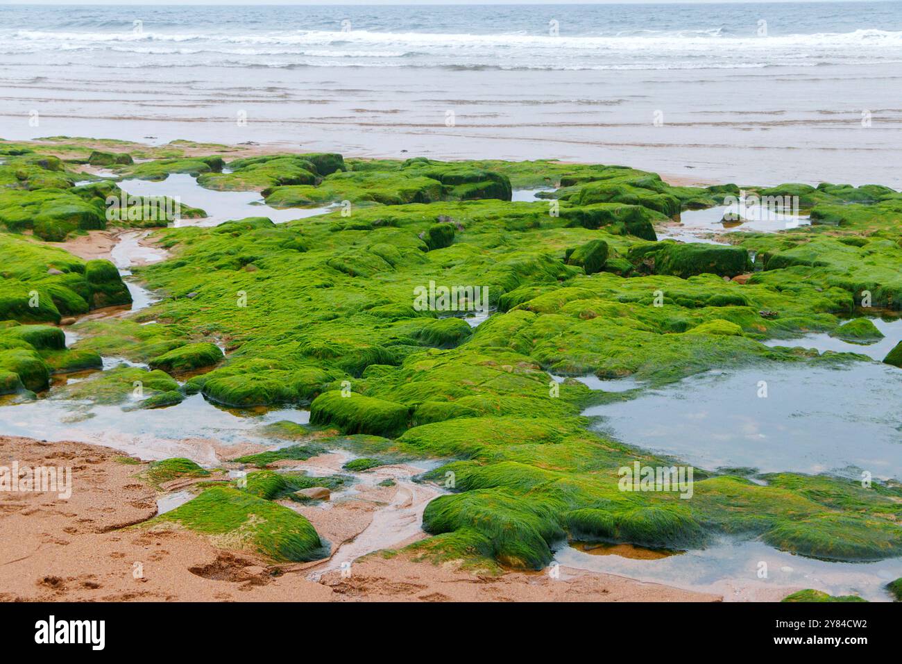 mossy covered rocks by the sea Stock Photo