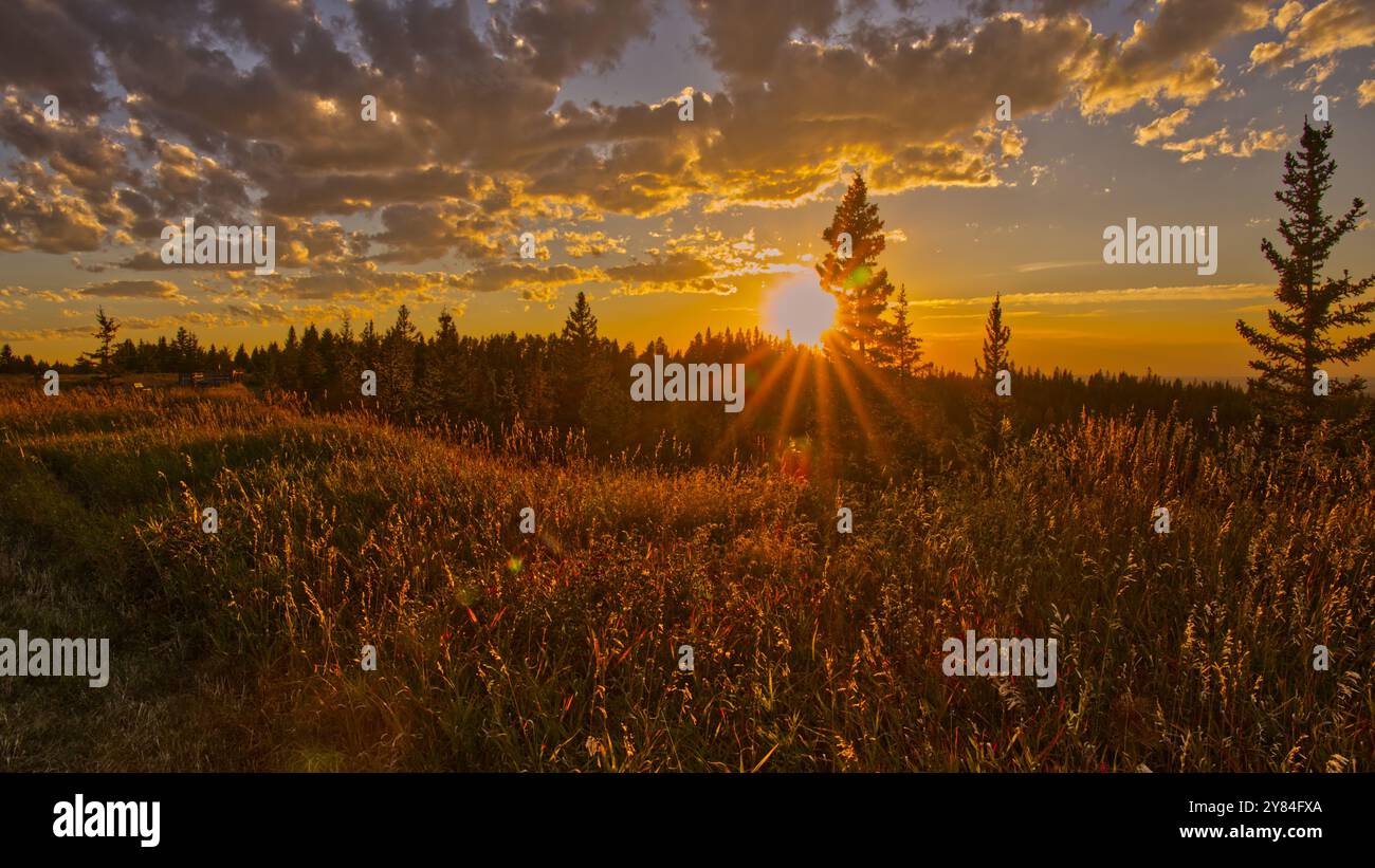 Sunset with sunburst through evergreen trees Stock Photo
