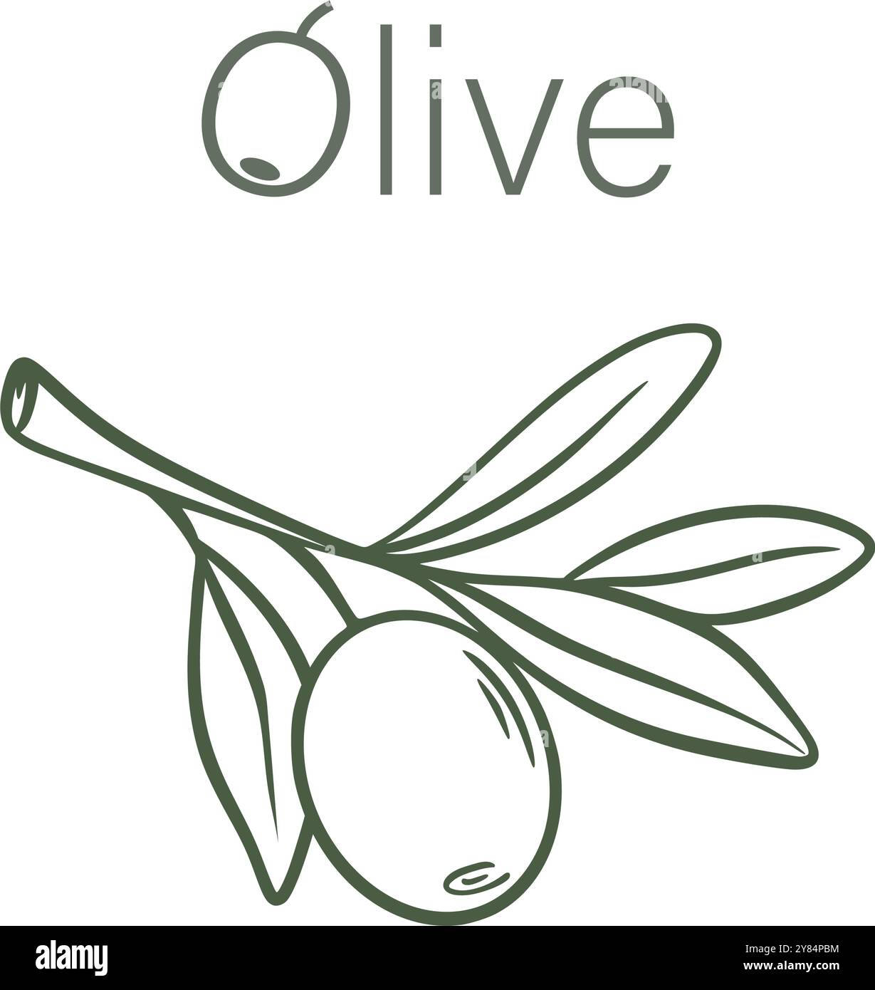 Olive on branch minimalistic sketch illustration. Hand drawn olive icon for logo or design, vector graphic Stock Vector