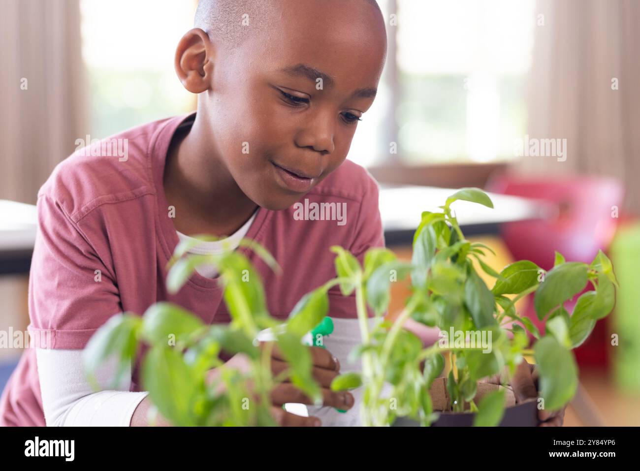In school, african american boy watering plants and learning about gardening in classroom Stock Photo