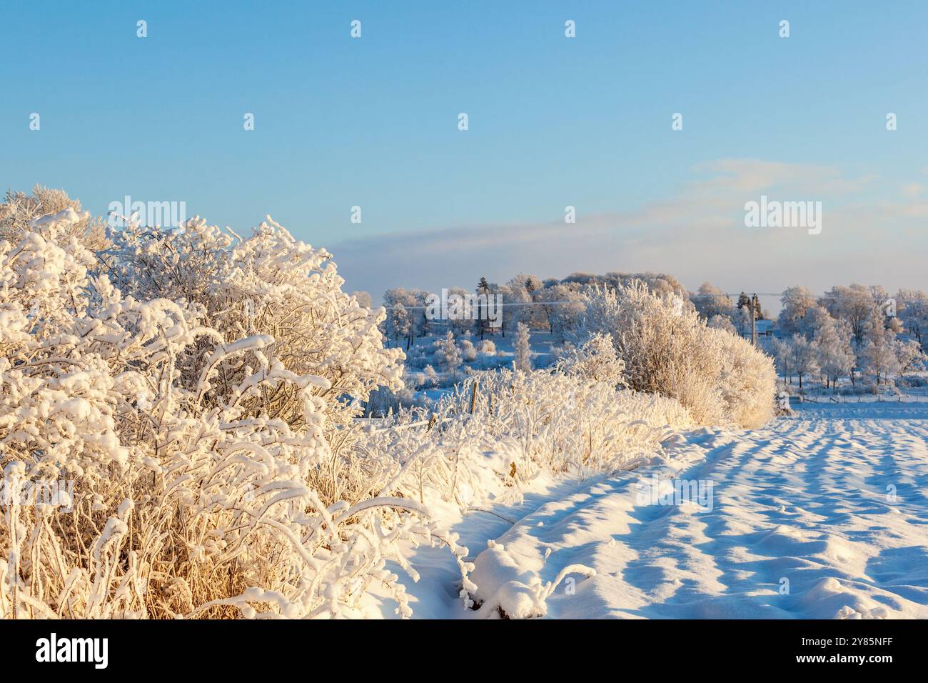 Snow and frost in rural landscape Stock Photo - Alamy