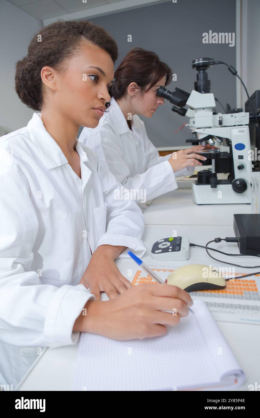 scientists working attentively with microscope in laboratory Stock Photo