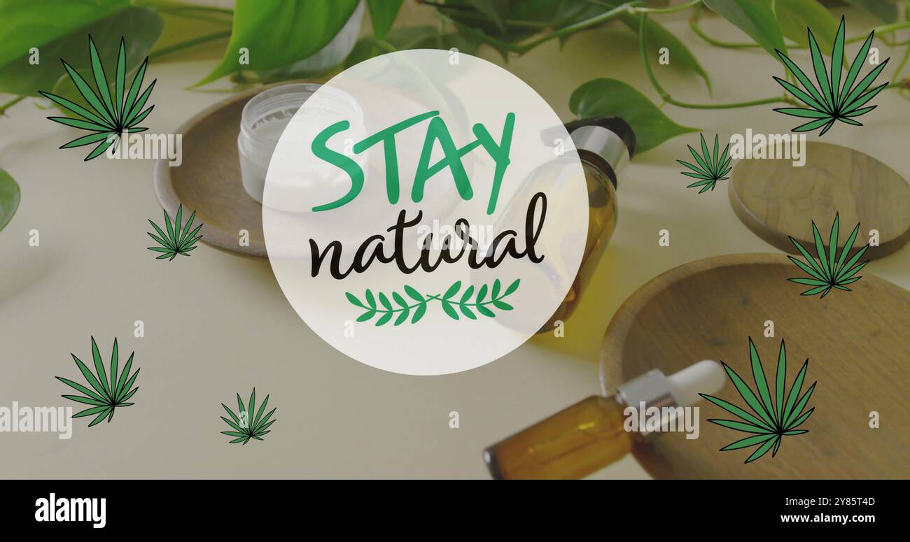 Image of stay natural text and leaves over organic beauty cream and bottled oils Stock Photo