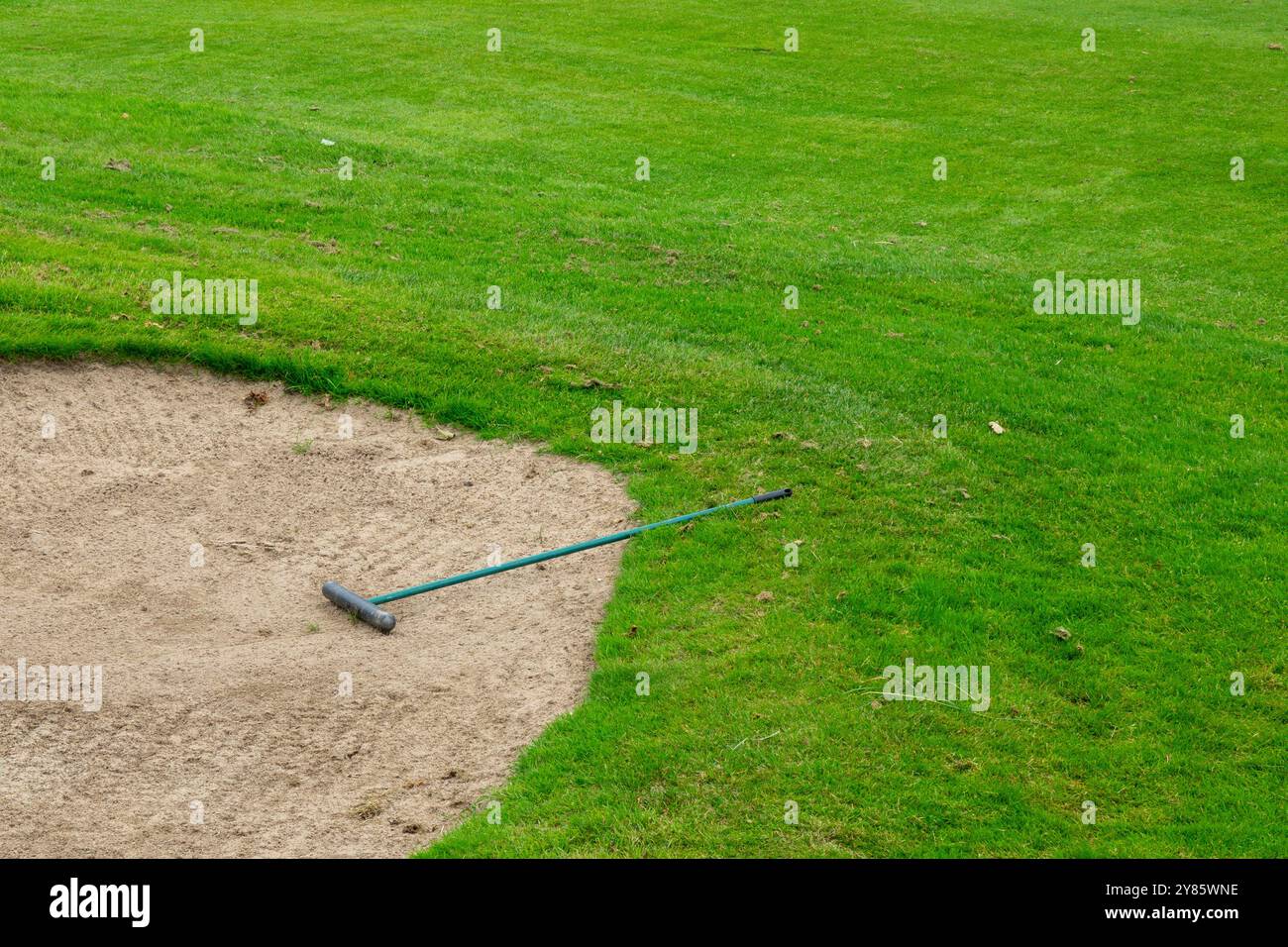 A green rake rests in the sand trap of a golf course. The sand trap is ...