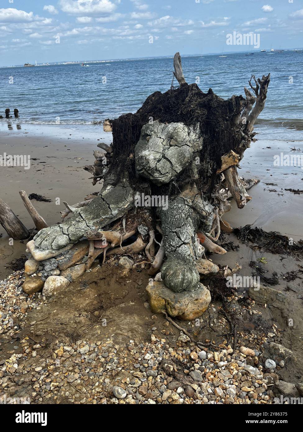 Sculpture made of driftwood, clay and seaweed - Smartphone Captured Stock Image