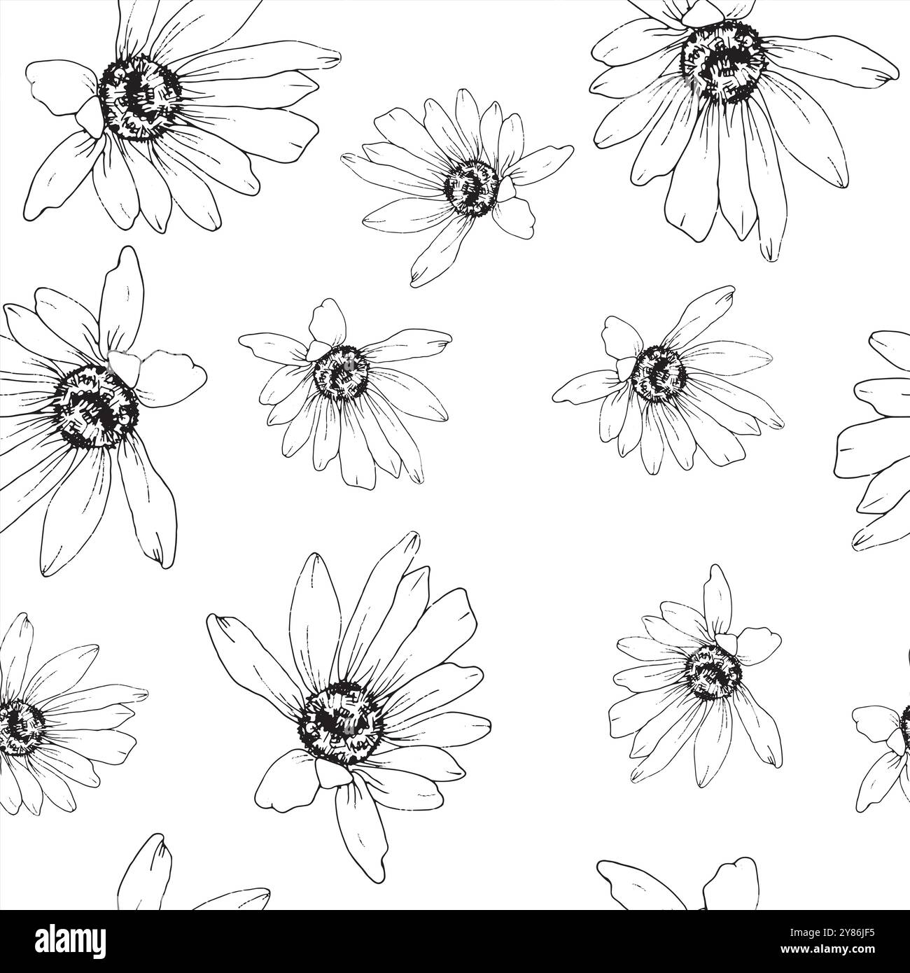 Wild herbs chamomile flower bud seamless pattern. Hand drawn vector ink ...