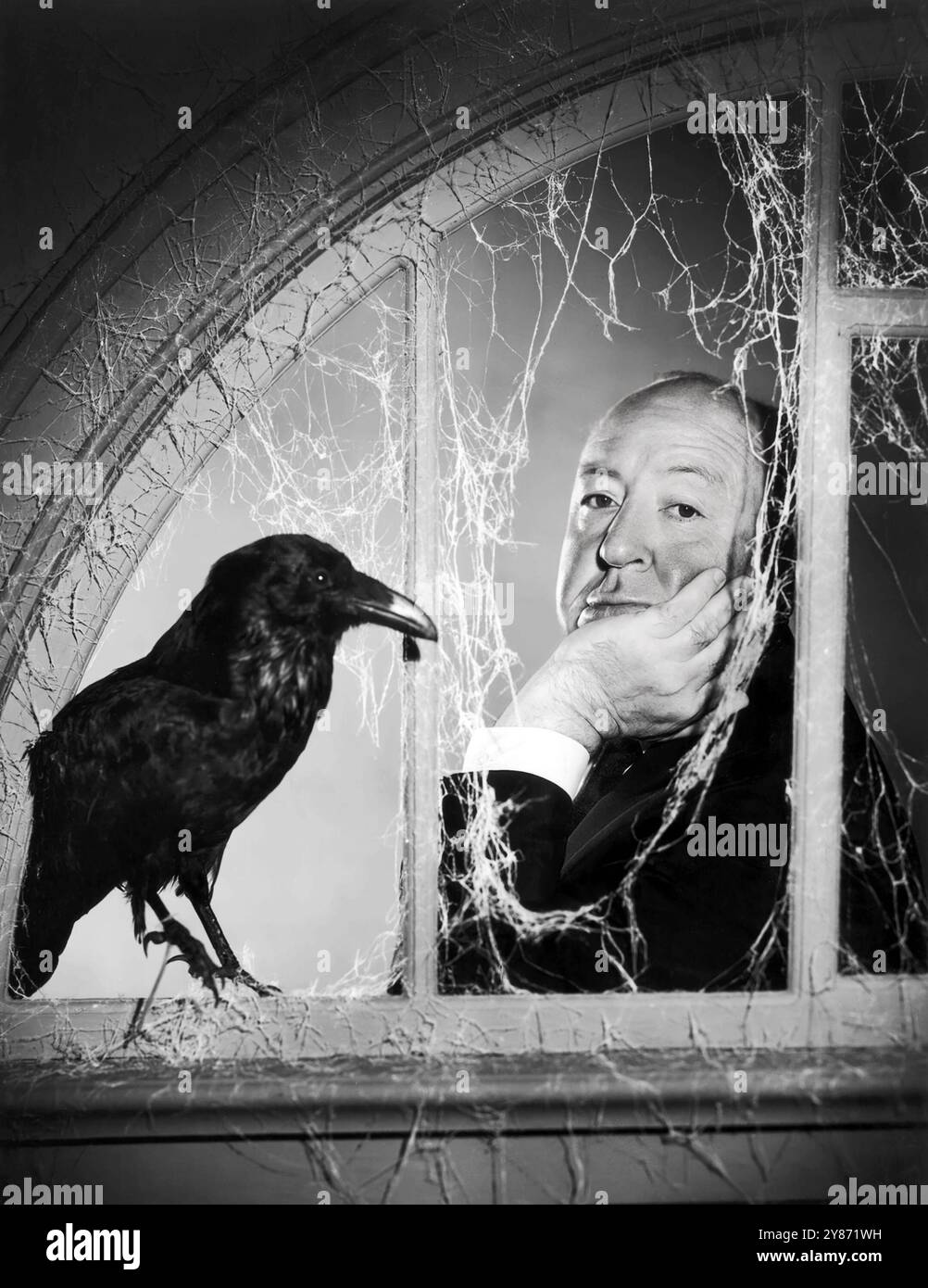 英語版　1976年発行　A closer Look at BIRDS 英語版 1976年発行 A closer Look at BIRDS