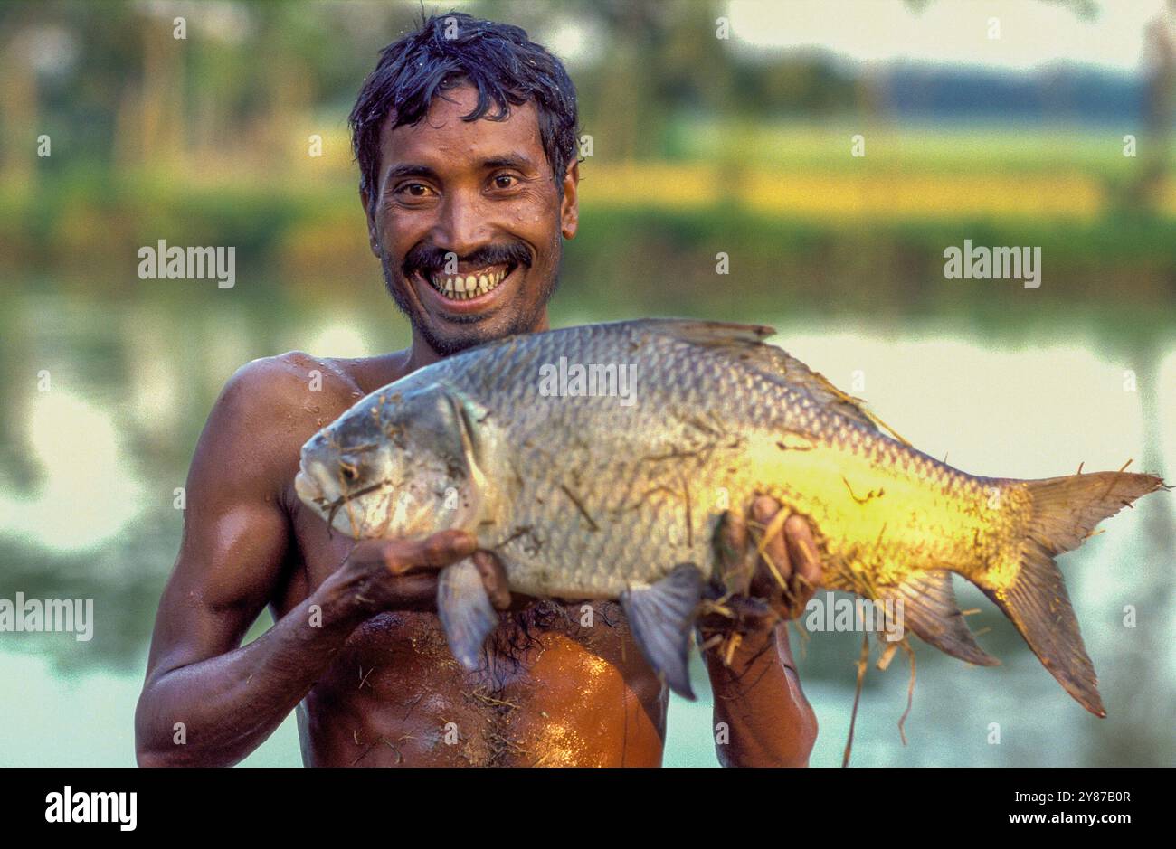 Bangladesh, Manikganj, farmer with farmed fish from his fishpond, set up with a micro loan. Stock Photo