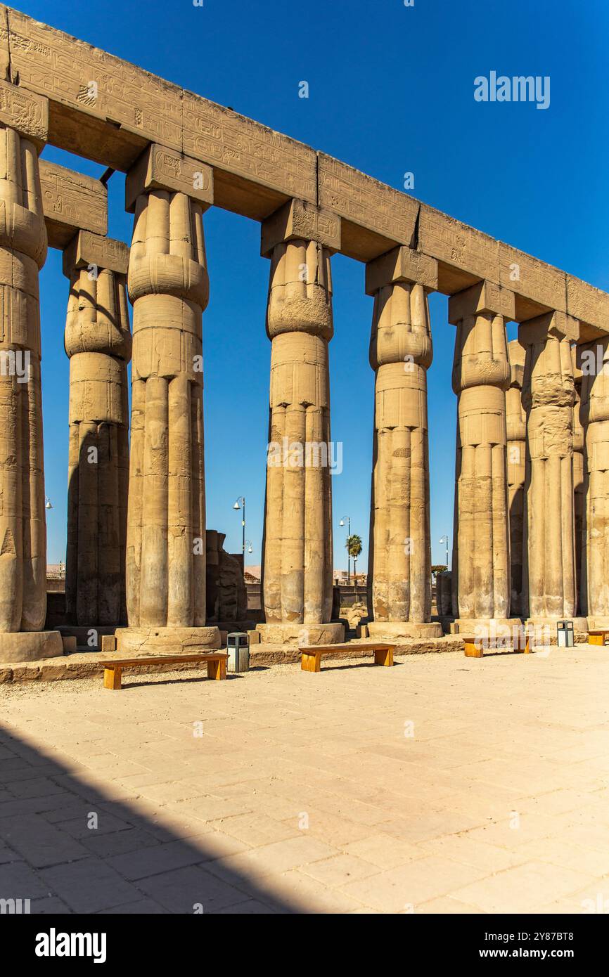 Admire the exquisite carving and design of the Roman pillars that adorn the Temple of Luxor. A testament to the artistic talent of ancient civilizatio Stock Photo