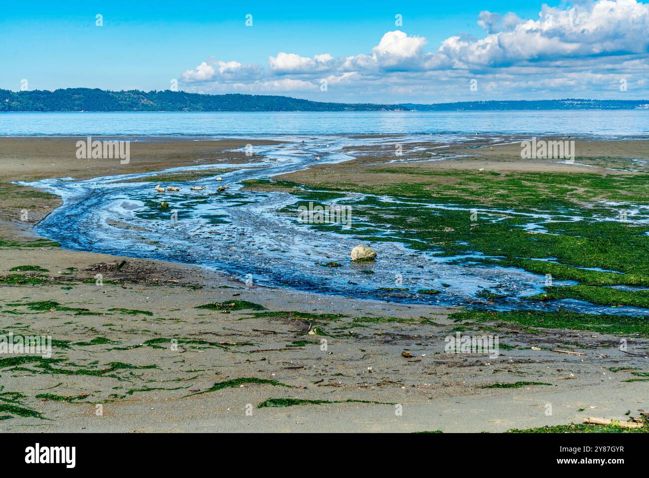 Water flows toward the Puget Sound at Dash Point State Park in ...