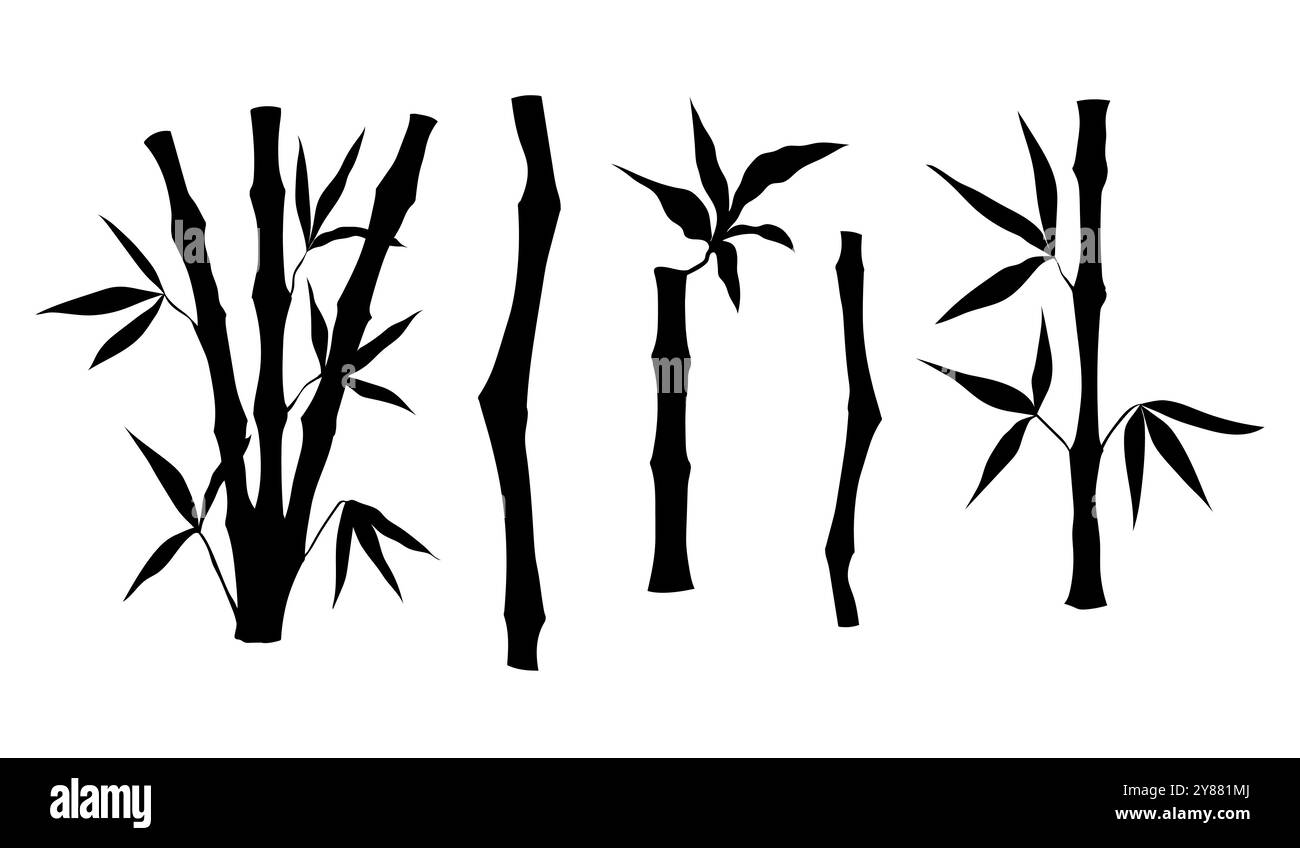 Bamboo tree stem with leaves silhouette. Set of bamboo tree. Vector