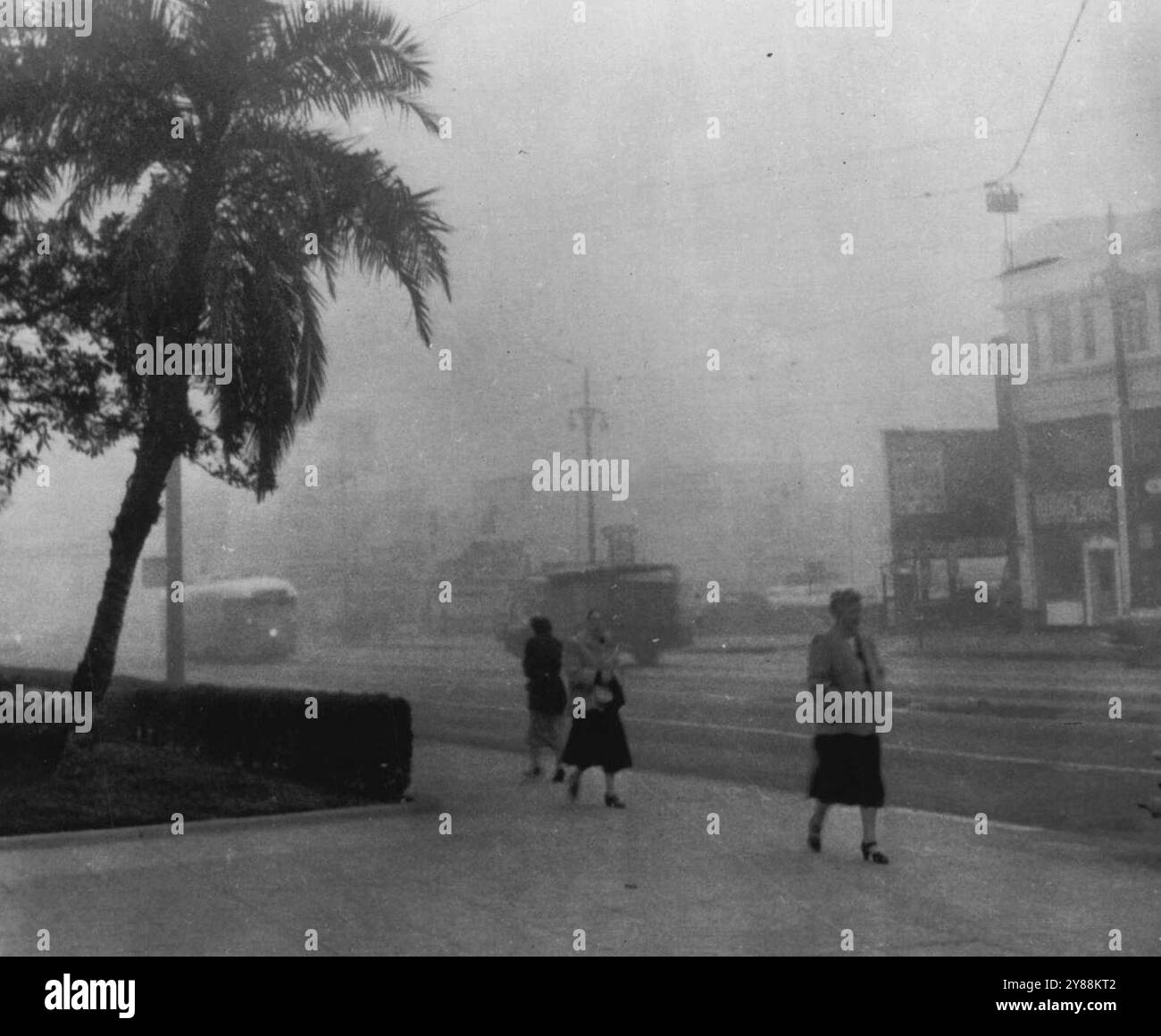 Dense fogs hi-res stock photography and images - Alamy