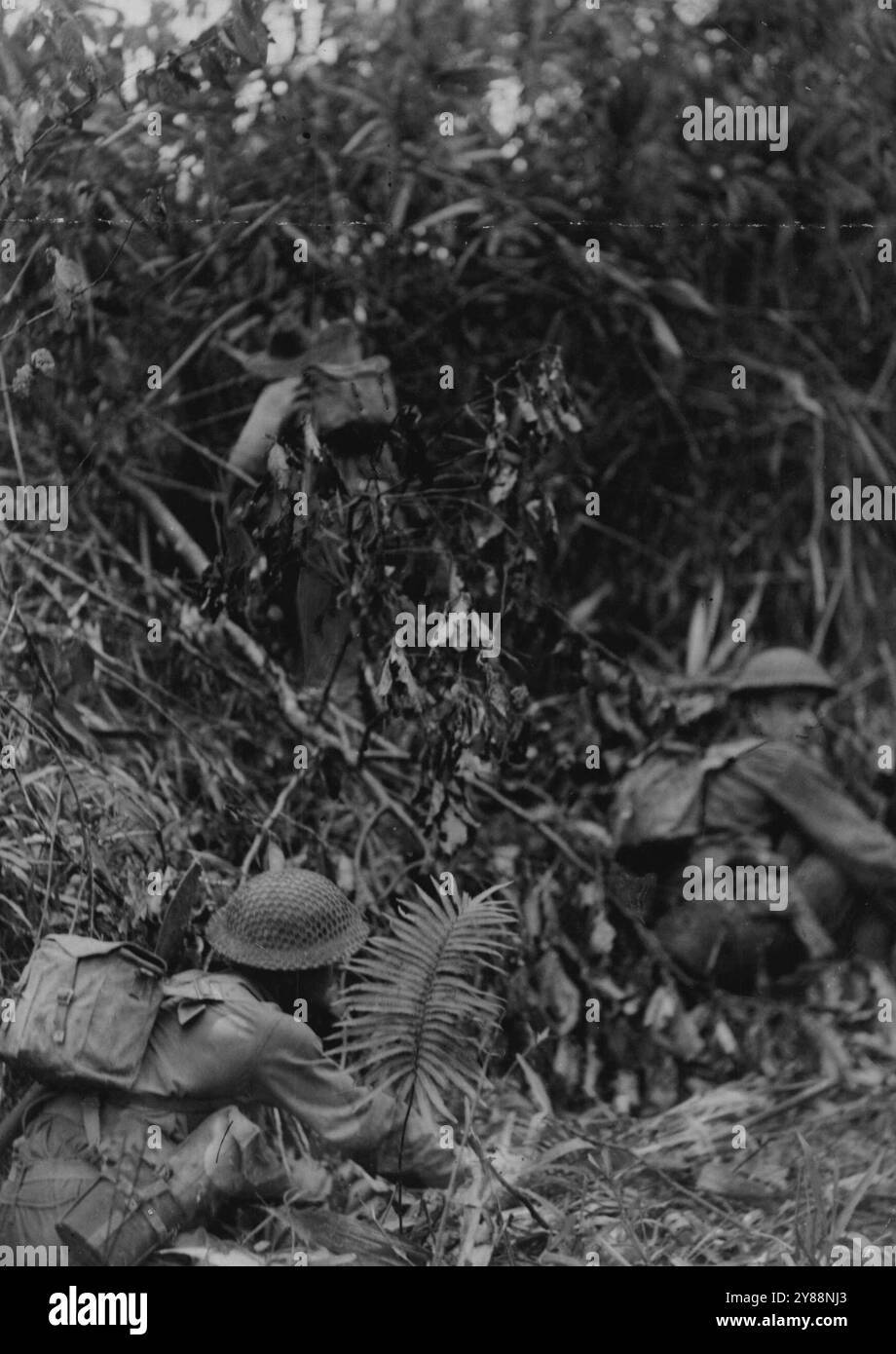 Attack on Satelberg - Australian troops moved in behind Matilda tanks for a dawn attack on the Japanese held village of Satelberg. A wounded Australian being carried from the forward area as tank continues the advance. This picture wad taken during the actual attack. November 23, 1943. Stock Photo