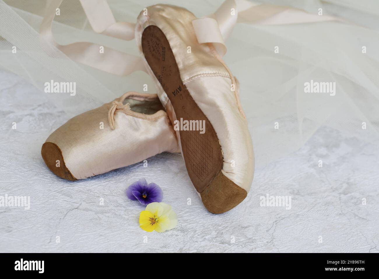Ballet shoes, pointe shoes, dance shoes covered with satin in light pink colour, leather sole, blossoms, pansies, violets (viola), horned violets, sti Stock Photo