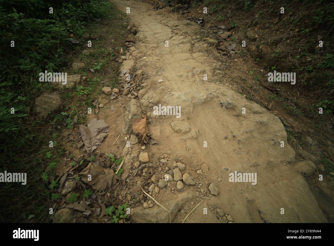 Extreme road conditions hi-res stock photography and images - Alamy