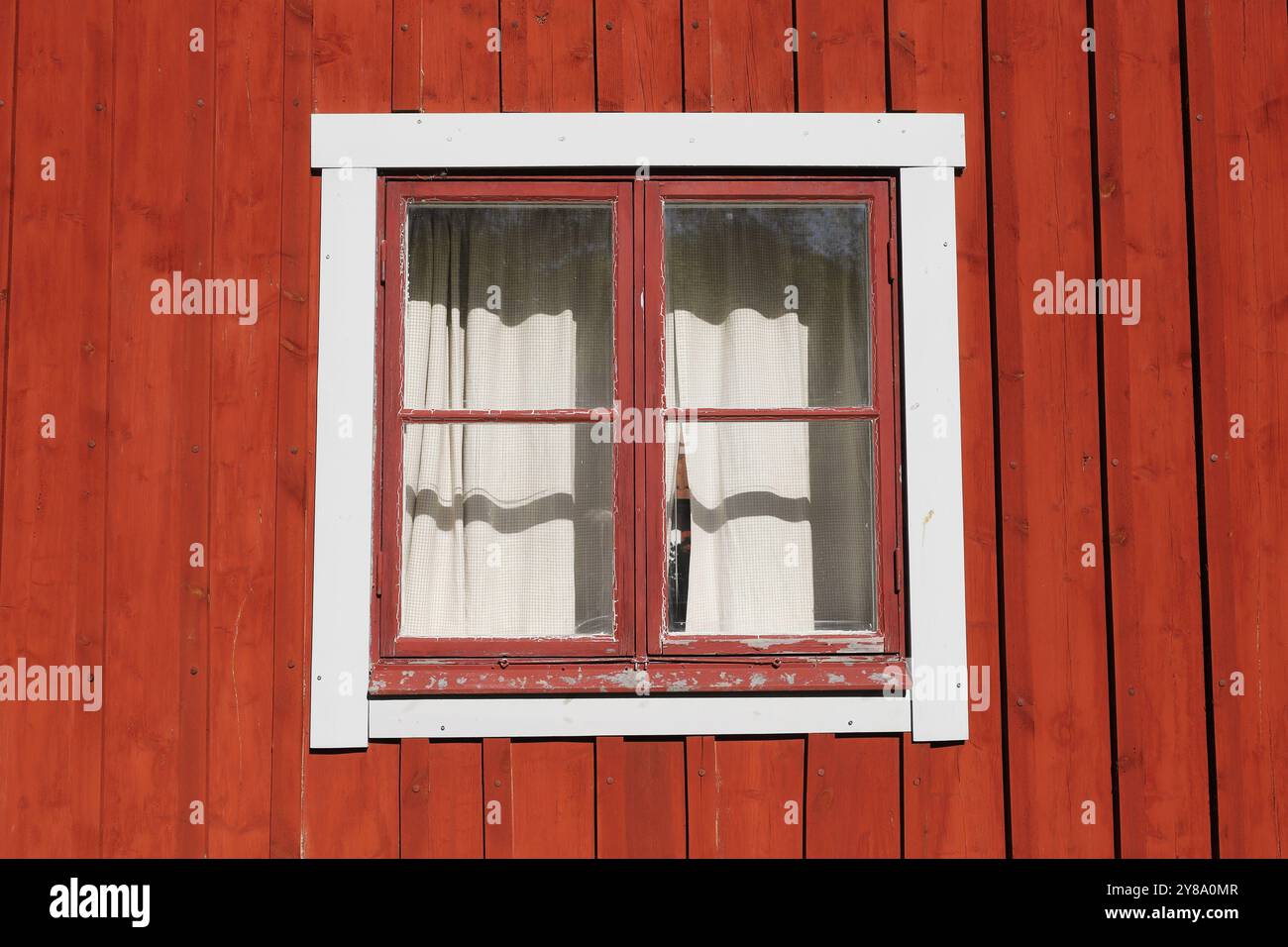 A red wooden wall with an old window with curtain. Stock Photo