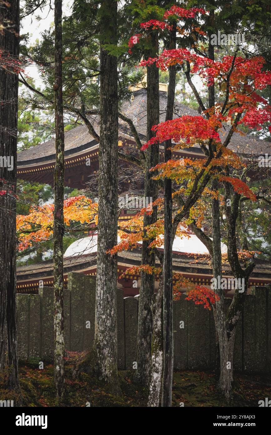 wooden pagoda with red trees Stock Photo - Alamy