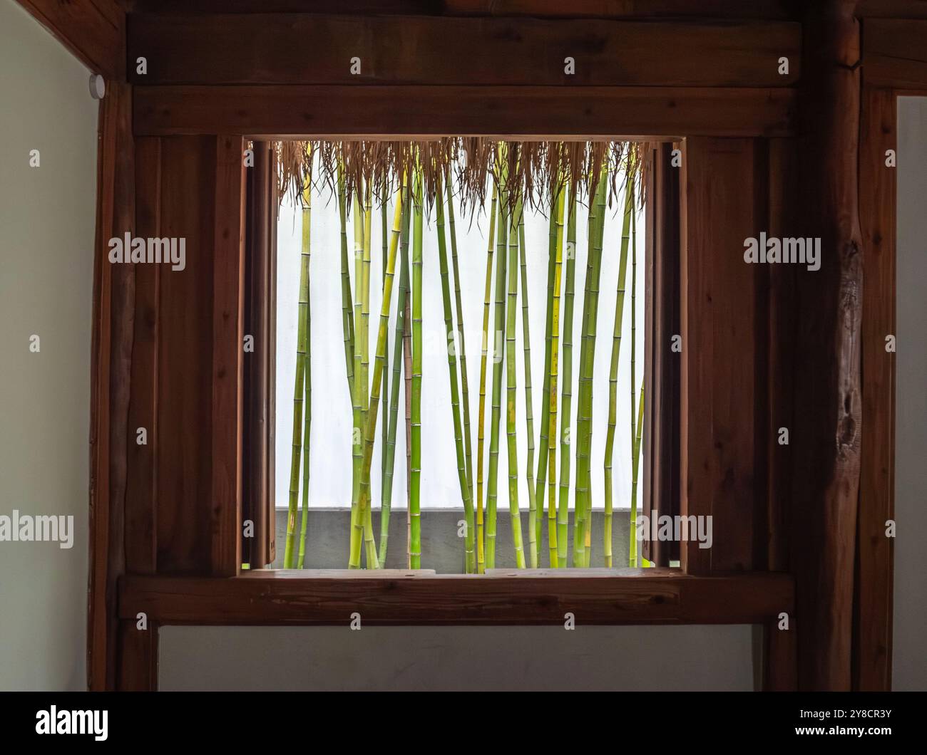 Bamboo stalks visible through a wooden window in a tranquil interior setting Stock Photo