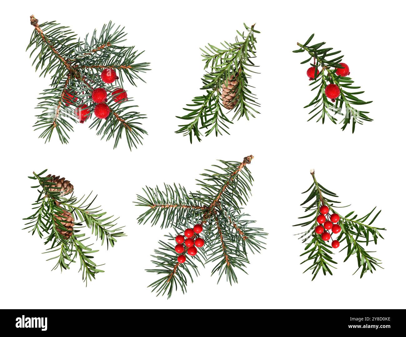 A set of coniferous branches decorated with artificial red berries and ...