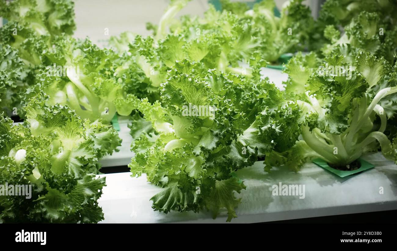 Stack In Plant Industrial plant growing stack hi-res stock photography and images - Alamy