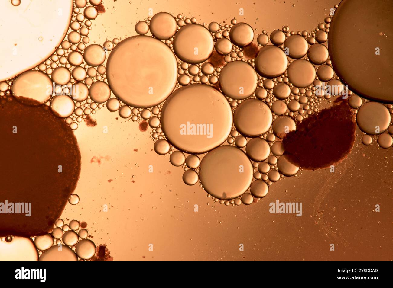 Abstract molecular close up of circles Stock Photo - Alamy