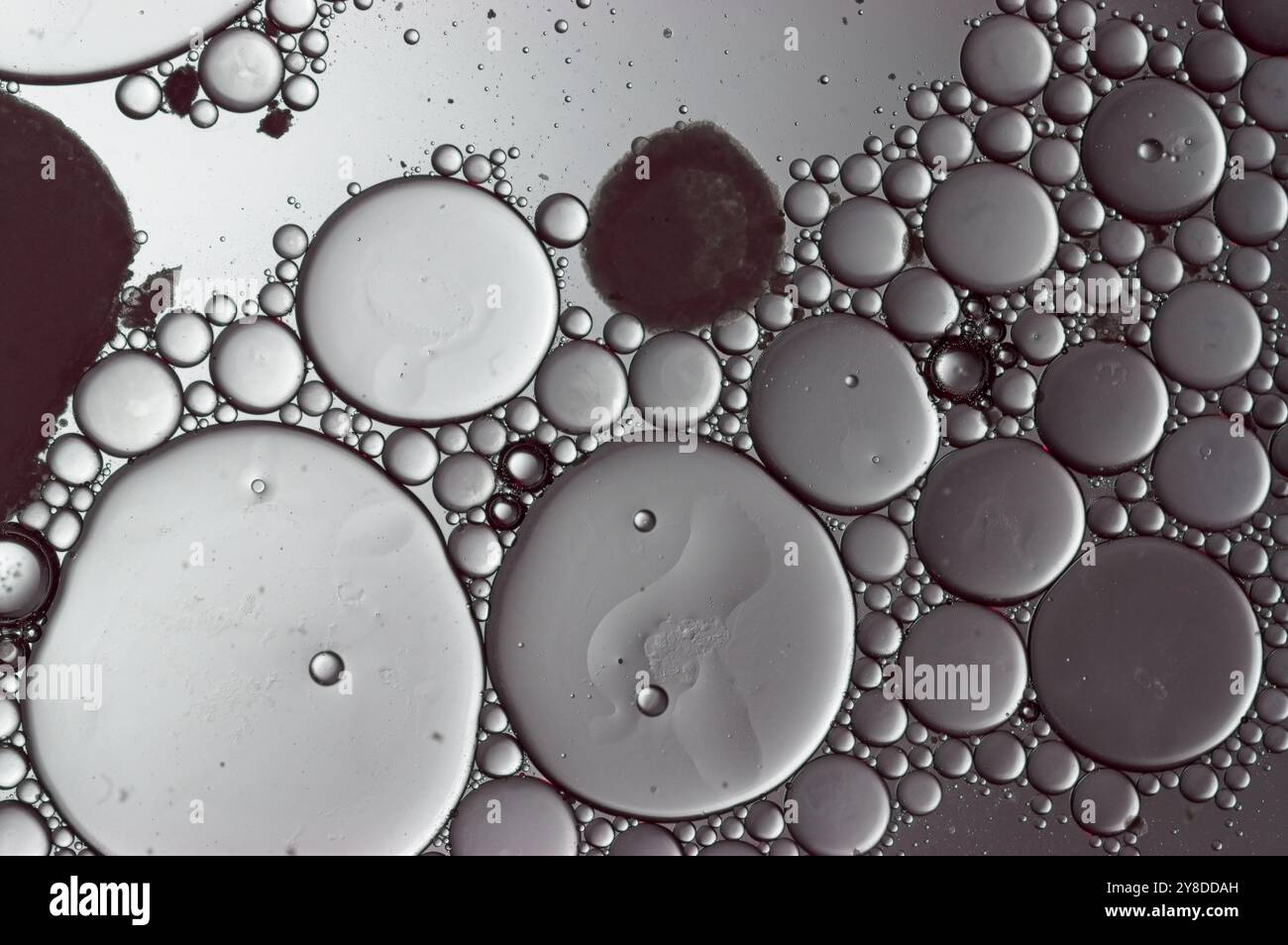 Abstract Circles in fluid with monochrome background Stock Photo