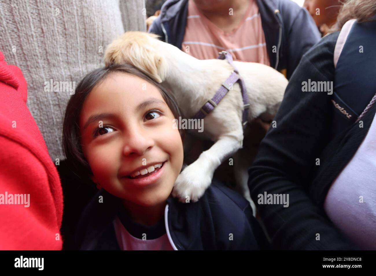 Dia mundial de los animales hi-res stock photography and images - Alamy