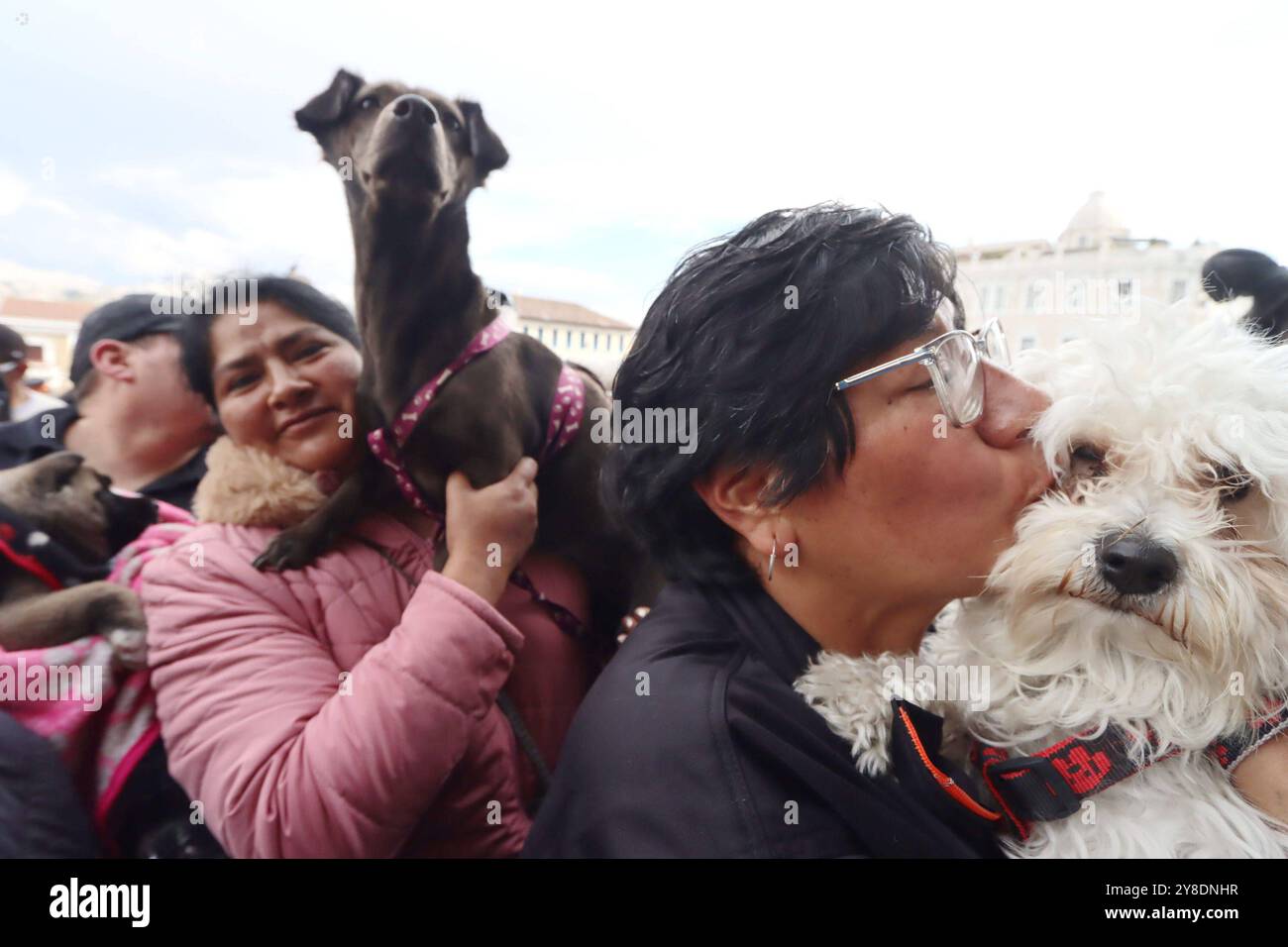 Dia mundial de los animales hi-res stock photography and images - Alamy