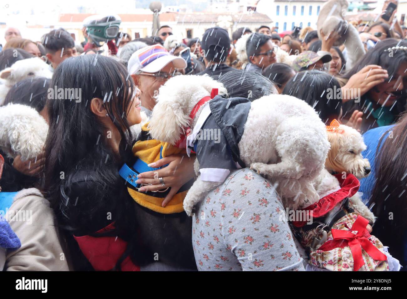 Dia mundial de los animales hi-res stock photography and images - Alamy