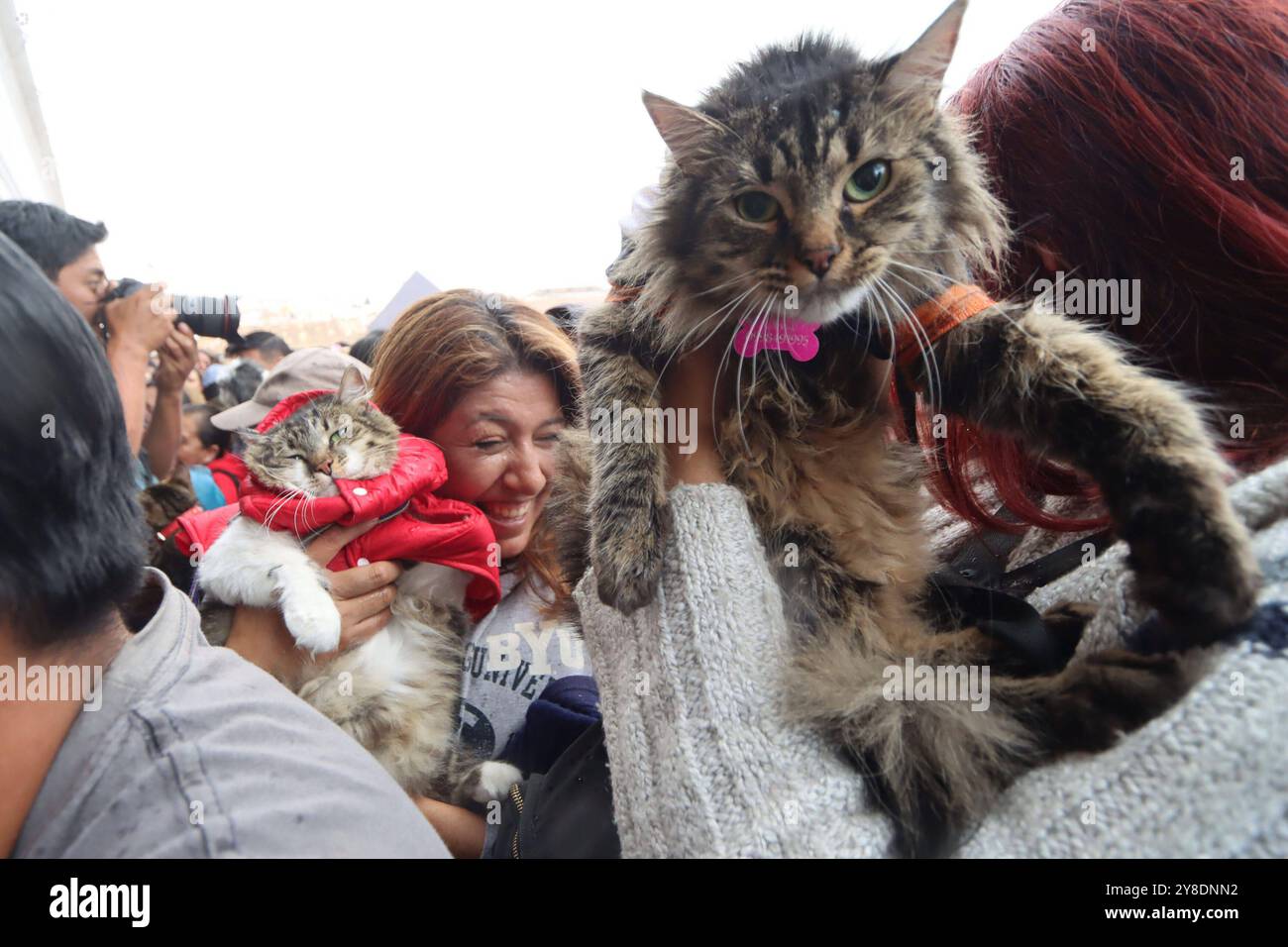 Dia mundial de los animales hi-res stock photography and images - Alamy
