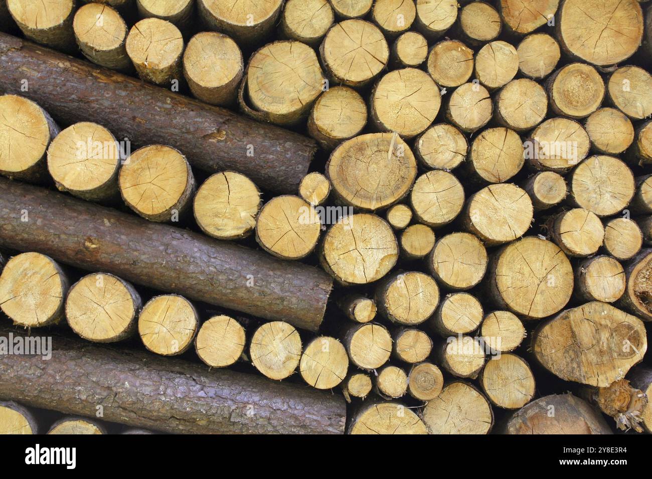 Closeup shot piled wooden hi-res stock photography and images - Alamy