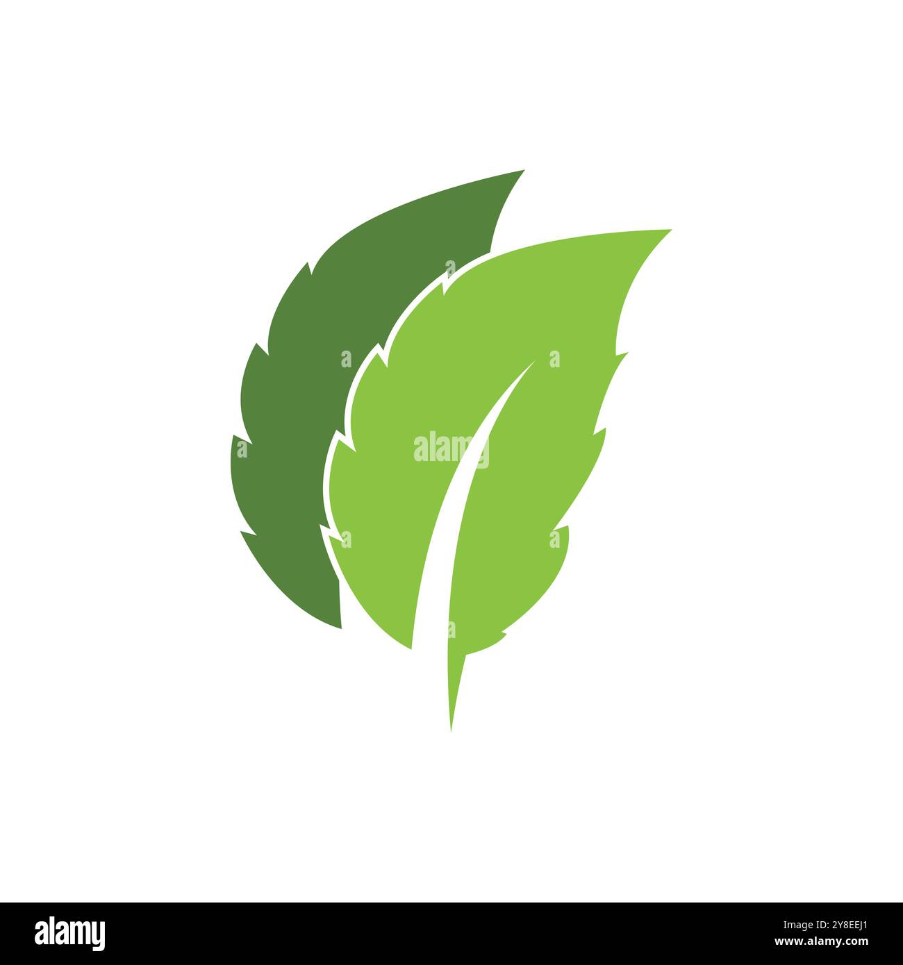 Mint leaf logo vector template symbol design Stock Vector Image & Art ...