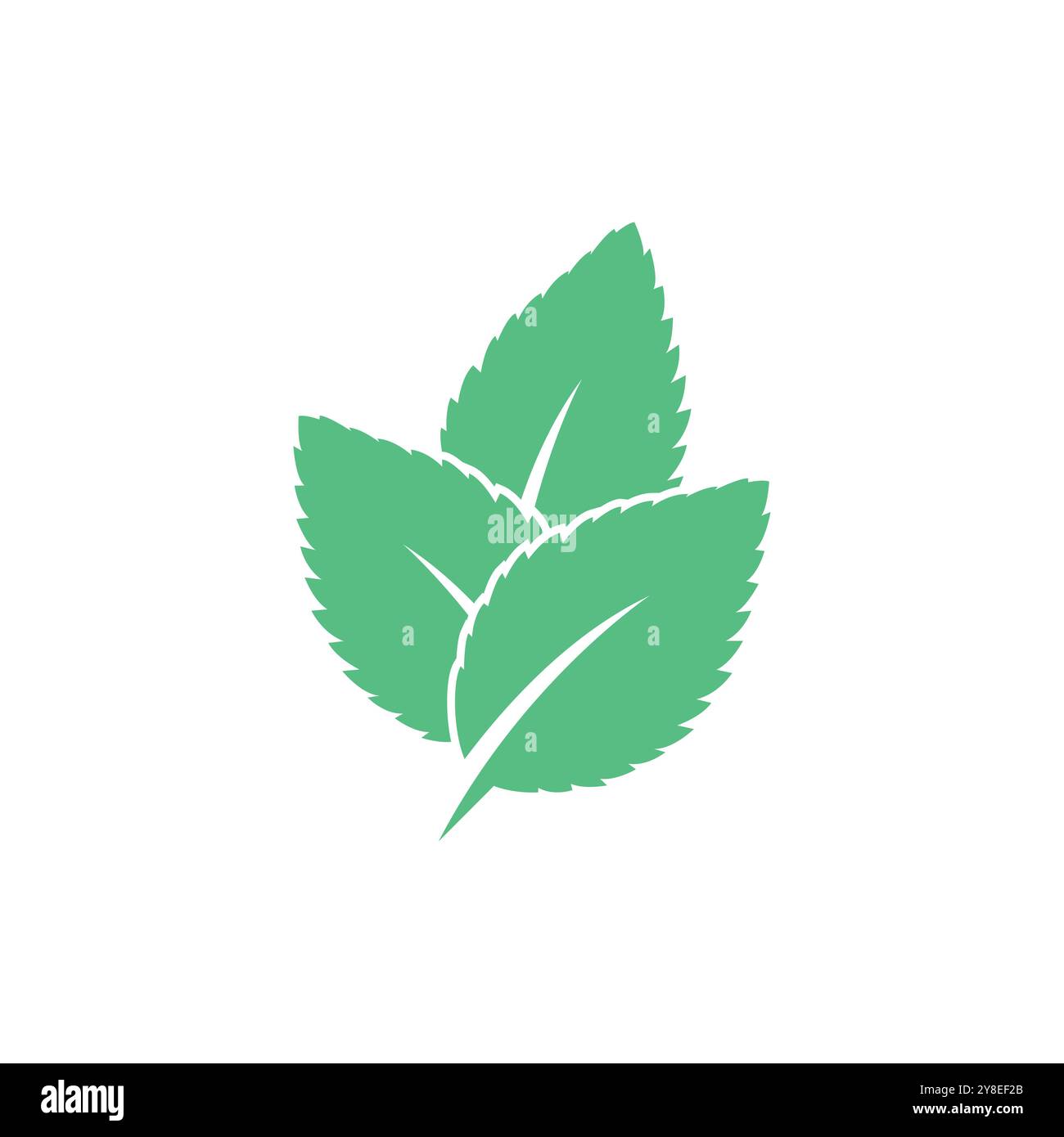 Mint leaf logo vector template symbol design Stock Vector