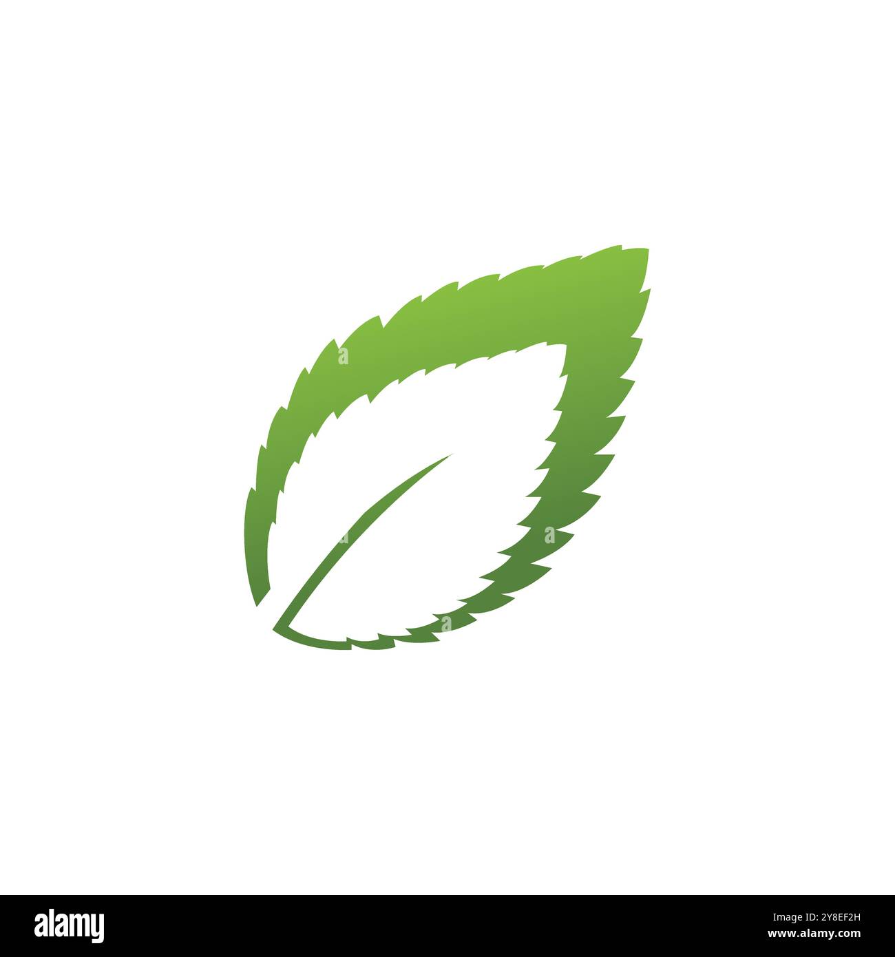 Mint leaf logo vector template symbol design Stock Vector Image & Art ...