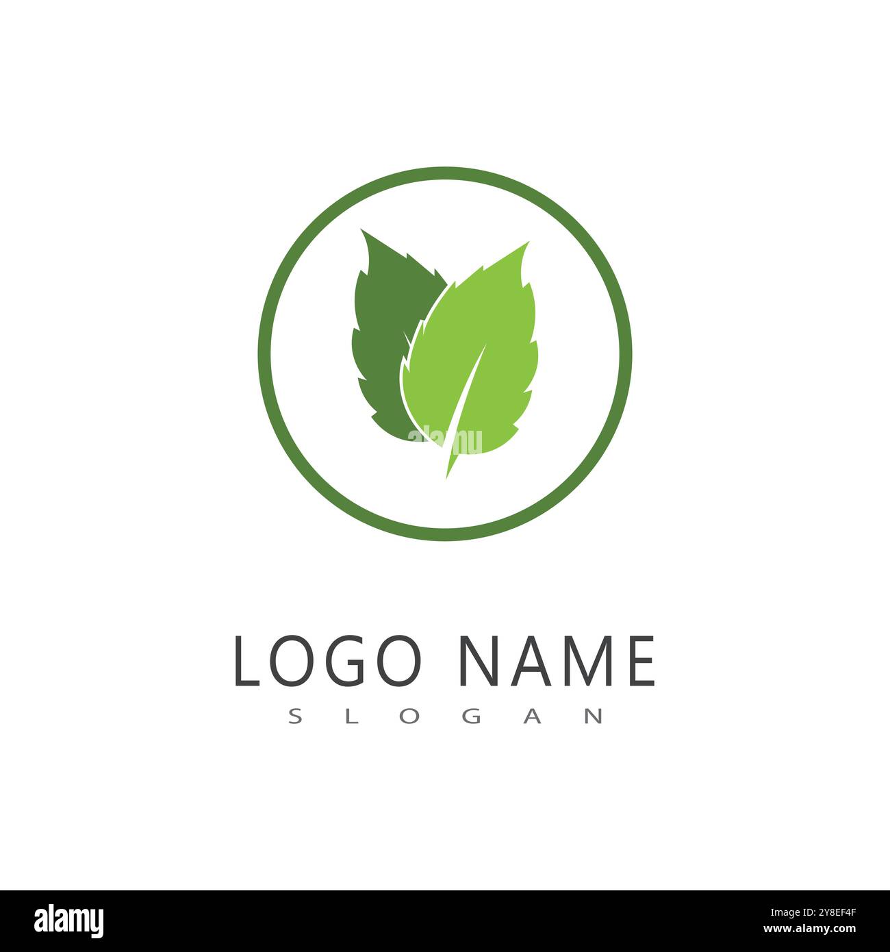 Mint leaf logo vector template symbol design Stock Vector