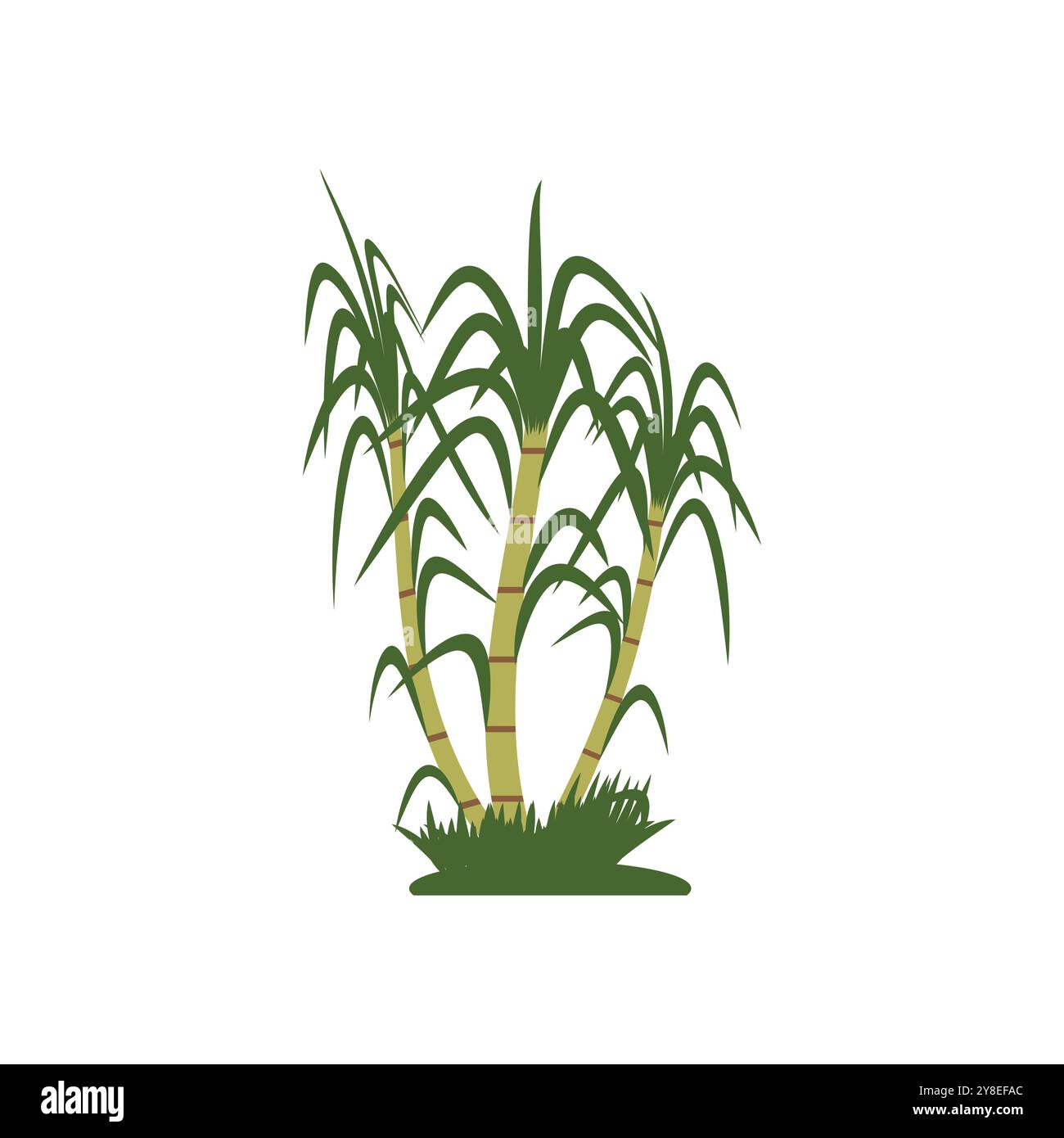 Sugarcane logo vector template symbol design Stock Vector