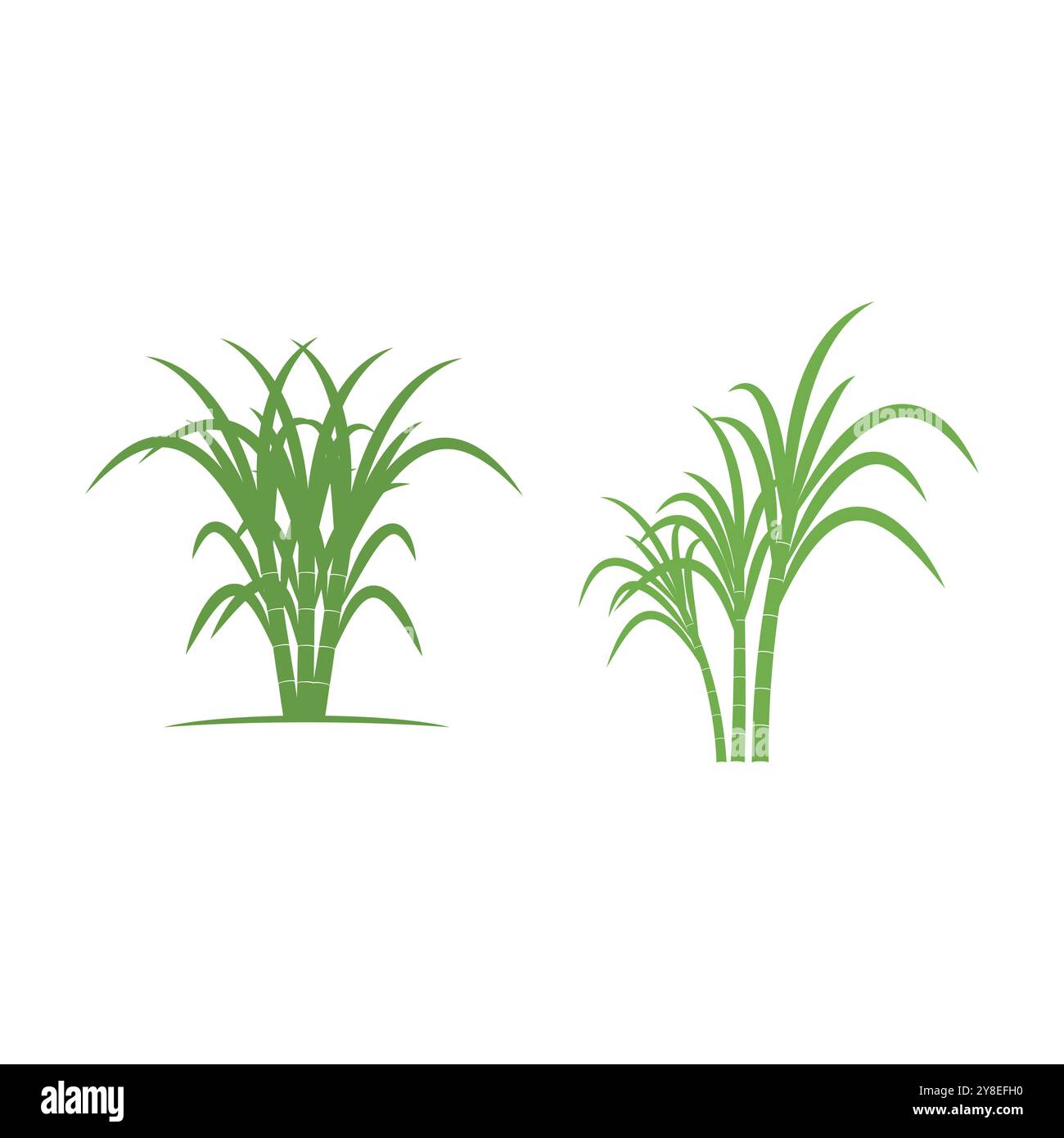 Sugarcane logo vector template symbol design Stock Vector