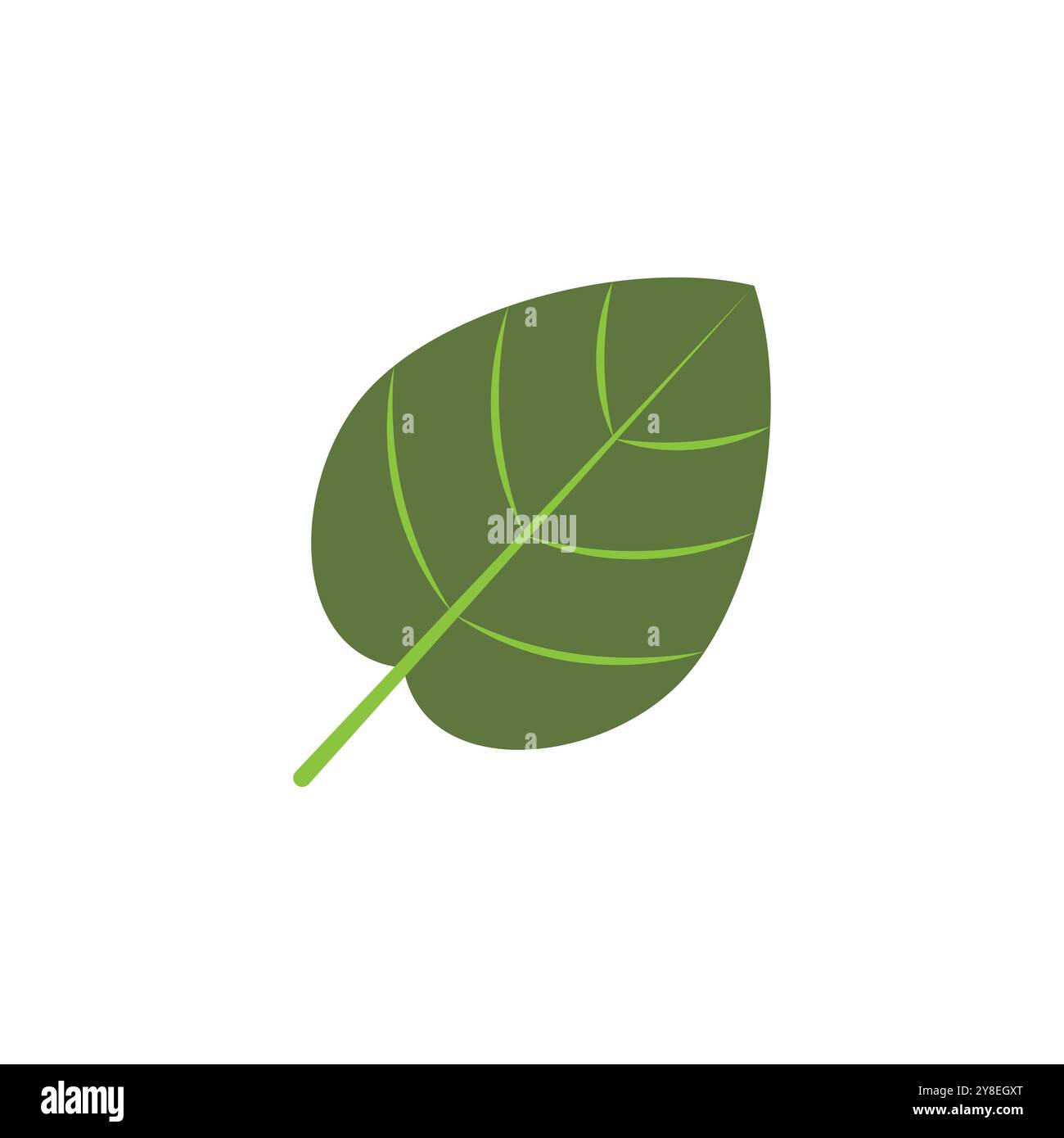 Green leaf logo vector element symbol template Stock Vector Image & Art ...