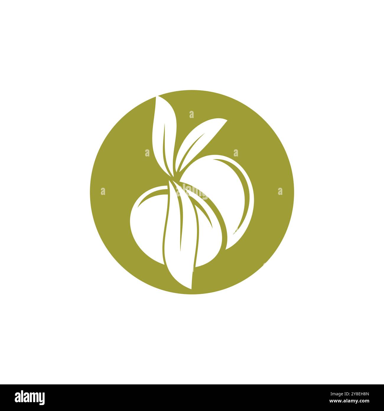 olive icon vector illustration design template Stock Vector