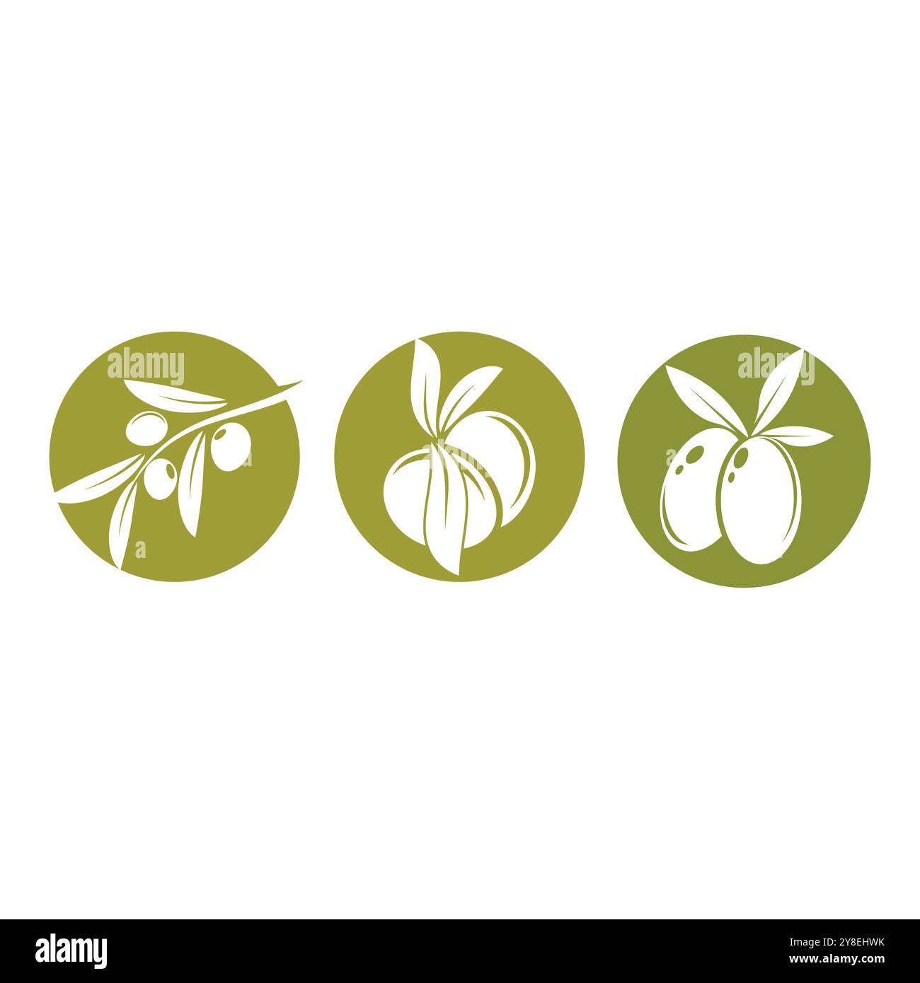 olive icon vector illustration design template Stock Vector