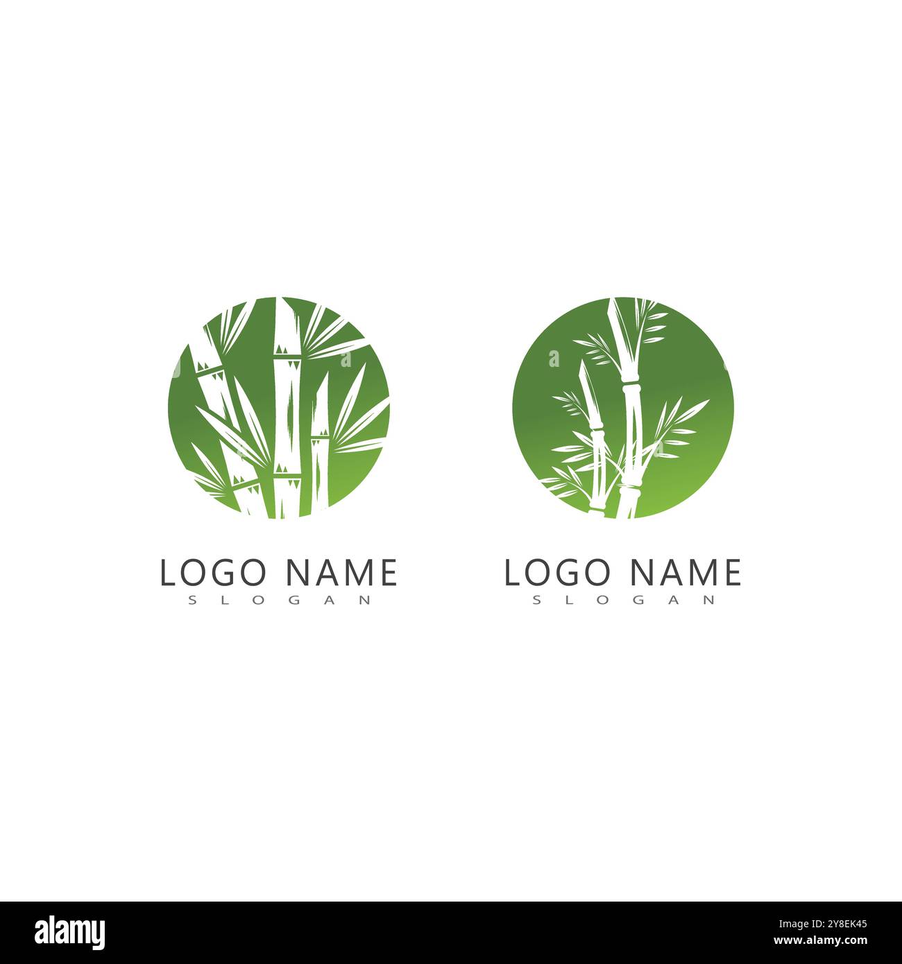 Bamboo with green leaf logo ilustration vector template Stock Vector